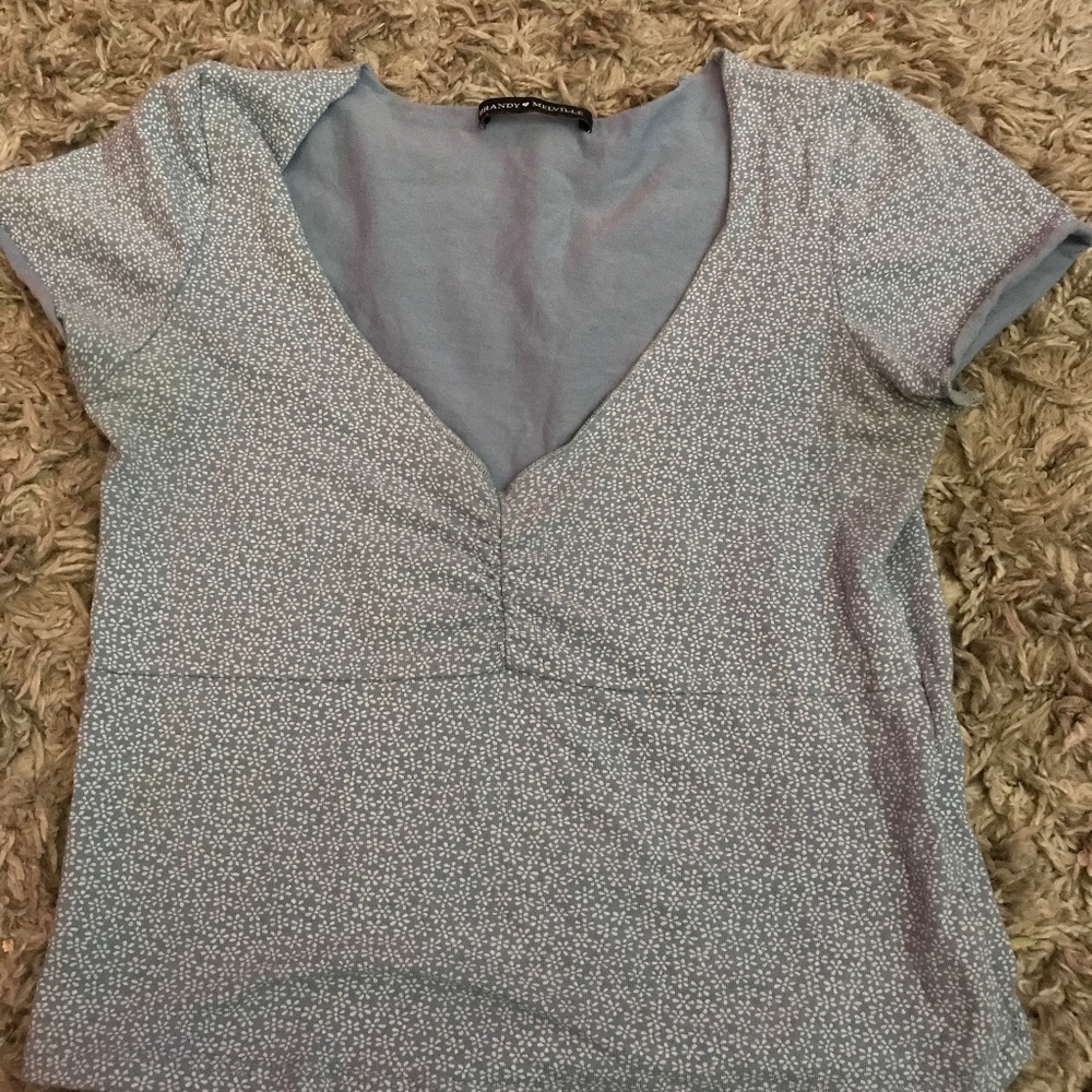 Blue Floral Brandy Melville Gina Top